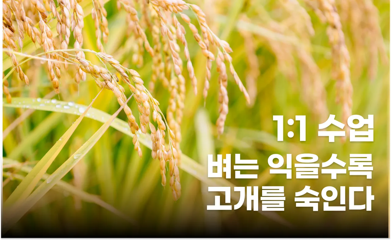 (스케줄 오픈 예정) (1:1) 미취학 어린이를 위한 알쏭달쏭 우리말 : 속담편