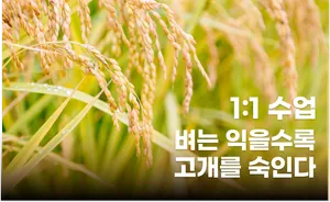 class-1714-thumbnail