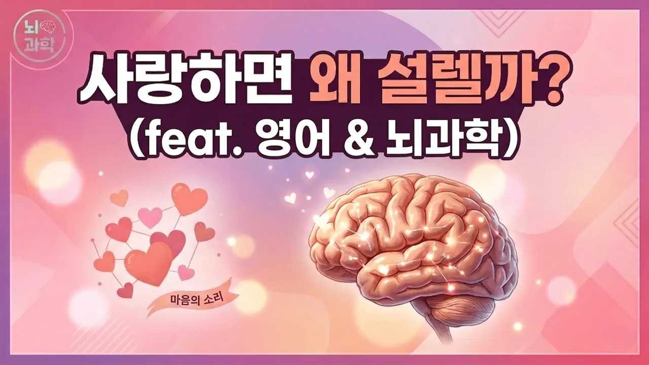 [New] 왜 사랑하면 설레는 걸까? 100% 영어로 배우는 뇌과학 수업 (2회 완성) [영어X과학]