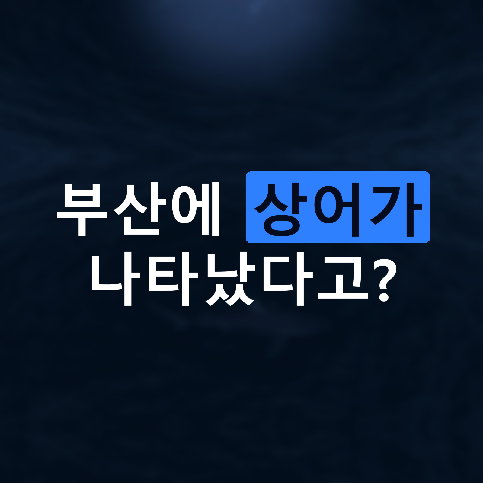 1번 페이지: 부산에 상어가 나타났다고?