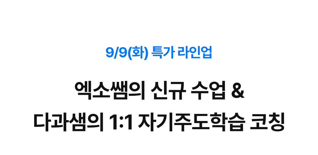 08_화 라인업.png