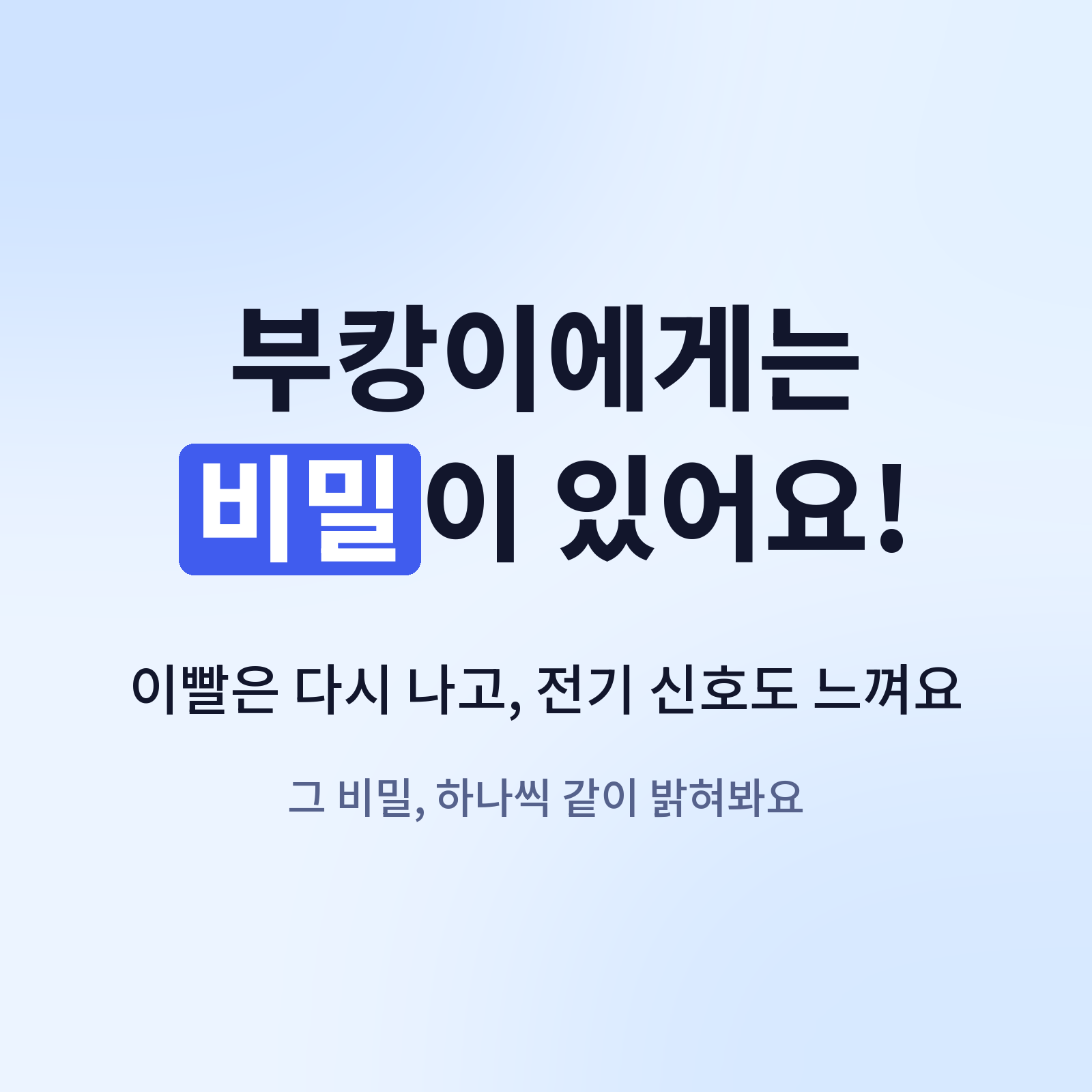 3번 페이지: 부캉이에게는 비밀이 있어요!