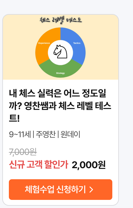체스 레벨테스트
