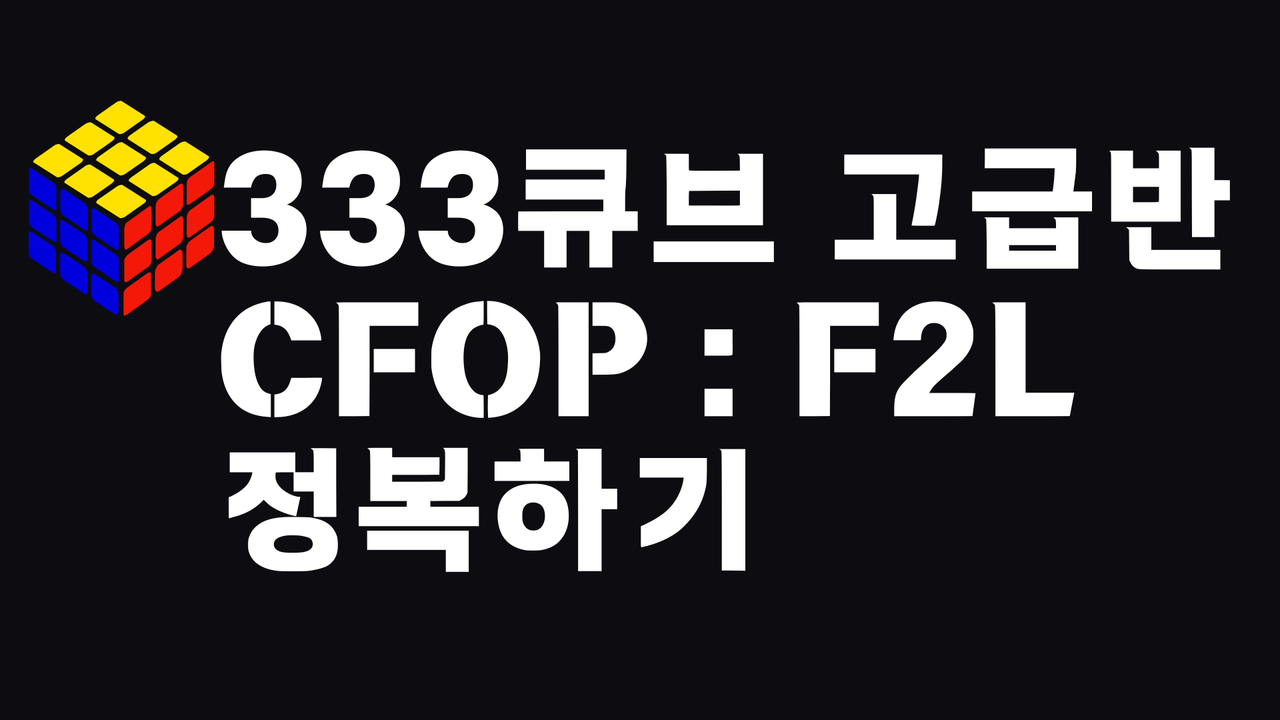 꾸그 | 중요한 건 포기하지 않는 것! 333큐브 20초 대 돌파