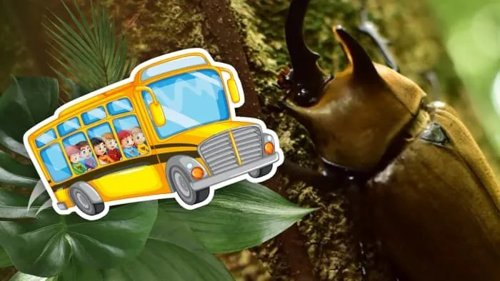 참여형 신비한 매직 버스 시리즈 : (필수! 7세~9세)