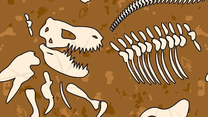 화석은 이야기꾼! : 공룡 화석과 복원의 모든 것