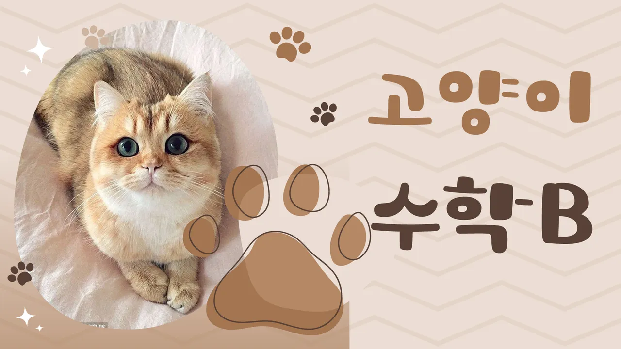 고양이 수학B : 세상에서 가장 사랑스러운 수학 프로젝트