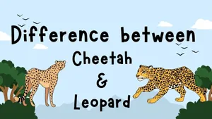 class-12964-thumbnail