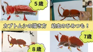 class-16115-thumbnail