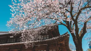 class-2194-thumbnail