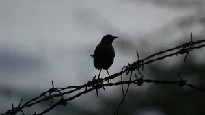 class-10716-thumbnail