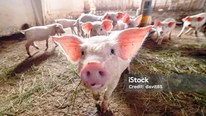 class-9110-thumbnail