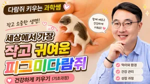 class-9493-thumbnail