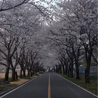 성공
