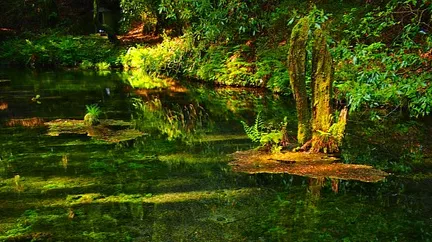 초등 영어필독서 완독 북클럽 : Tuck Everlasting