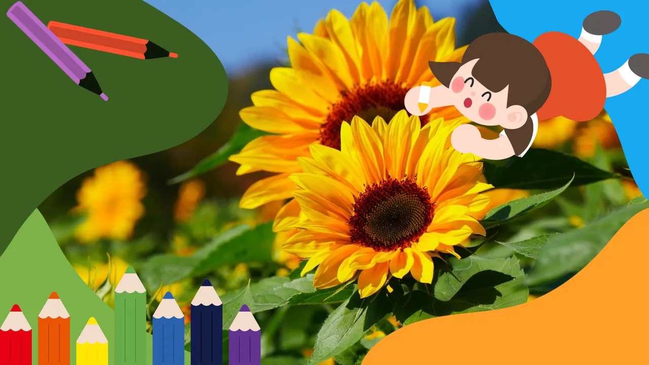 색연필만 있으면 되는 왕초보 드로잉, 8월 해바라기편