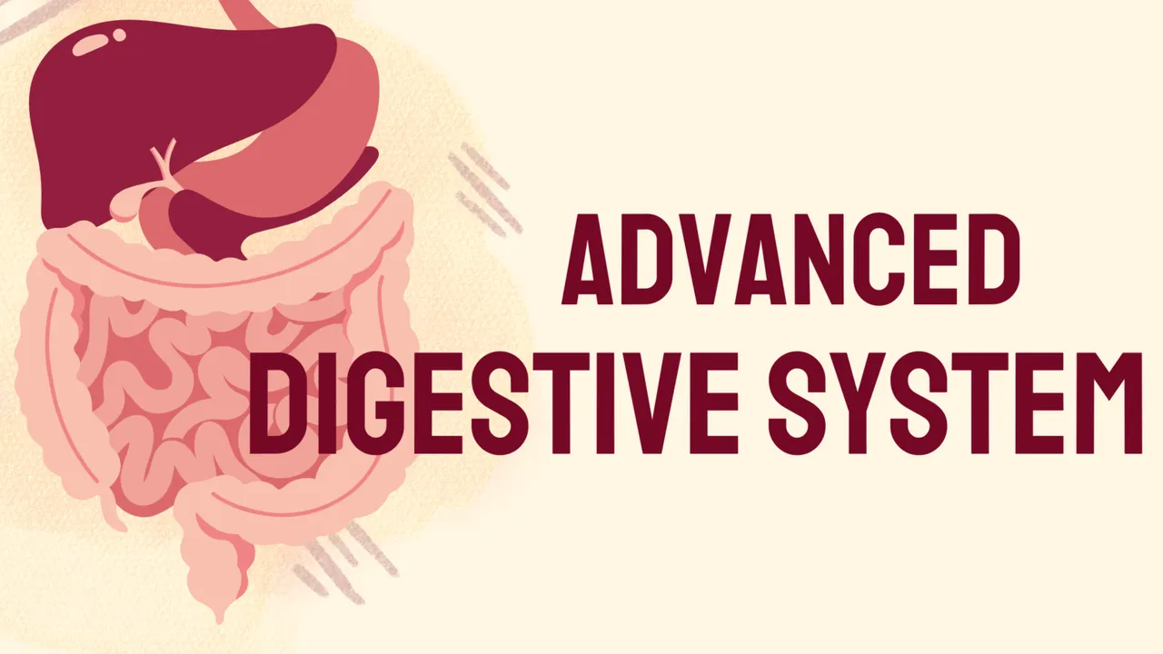국제학교 과학수업 <100%영어인체탐험> 심화편 Digestive System: 소화 기관부터 호르몬과 장내미생물까지!