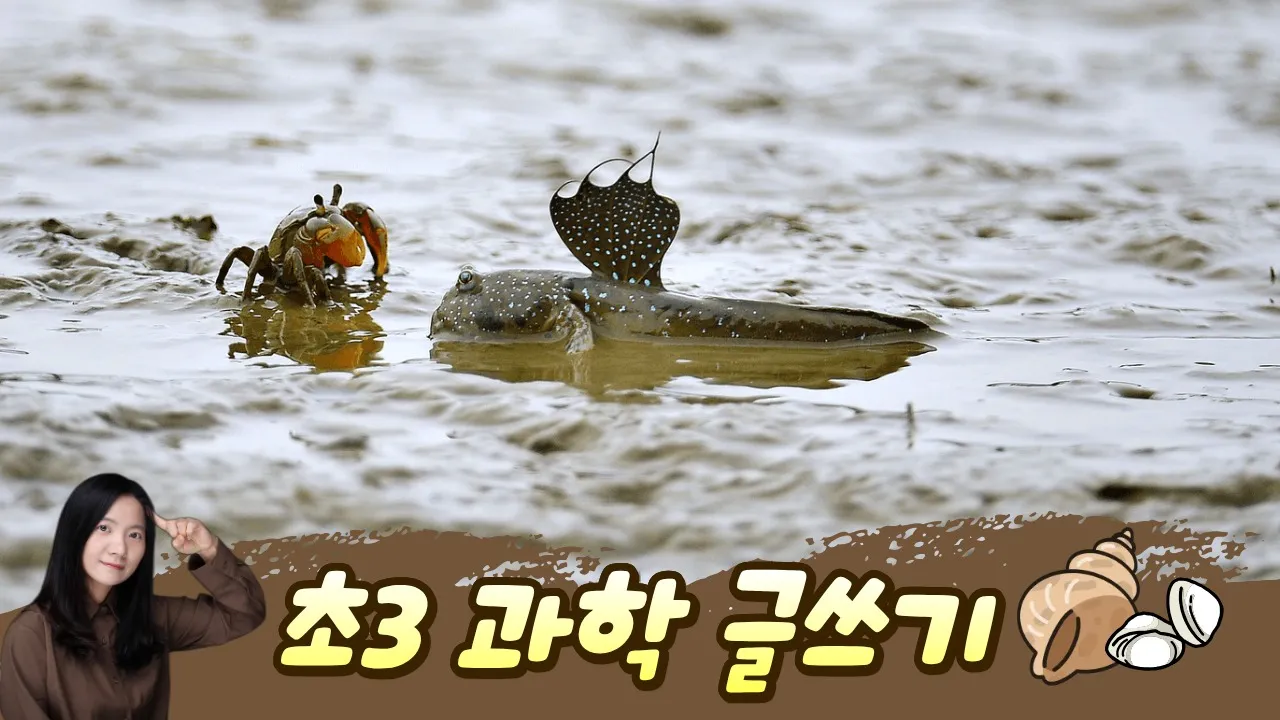 물음표를 느낌표로 바꾸는 50분: 3학년 2학기 과학 글쓰기