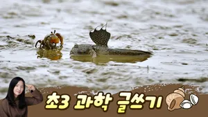 물음표를 느낌표로 바꾸는 50분: 3학년 2학기 과학 글쓰기