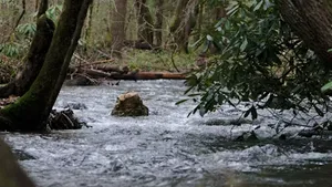 class-9118-thumbnail