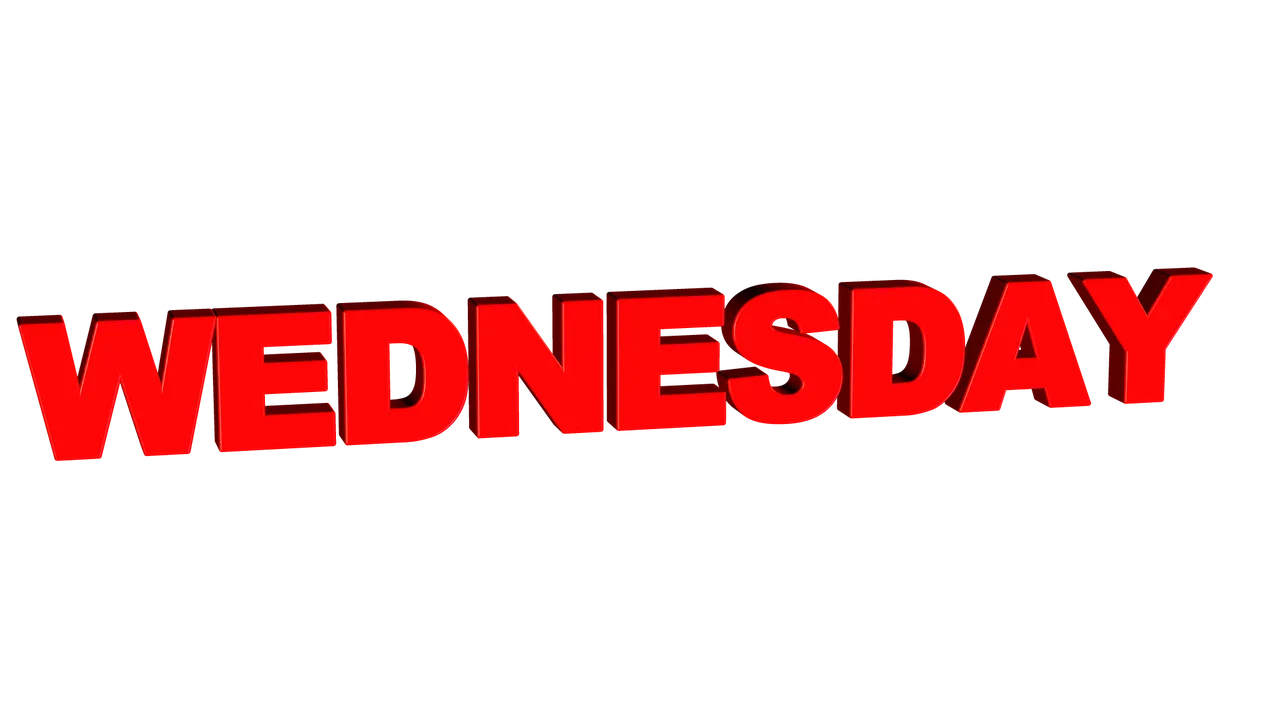 중등 영어필독서 완독 클럽: Wednesday Wars