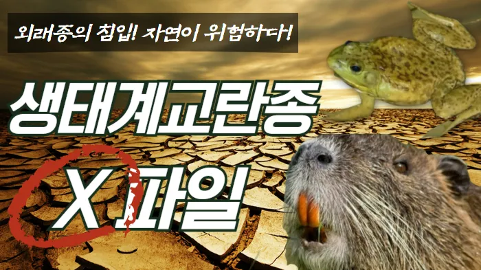 [생태계 교란종 X파일] 외래종의 침입!! 자연이 위험하다!!