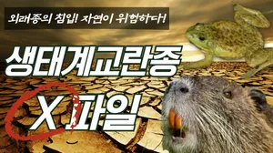 class-12204-thumbnail