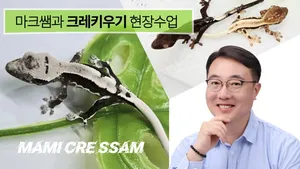 class-15215-thumbnail