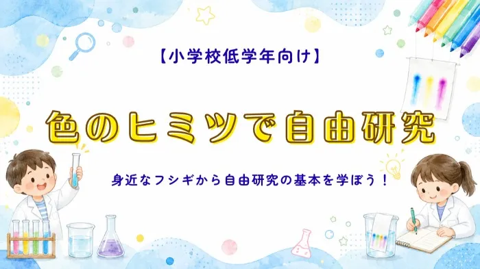 【小学校低学年向け】色のひみつを見つけよう！自由研究の観察や記録のコツも学べる！
