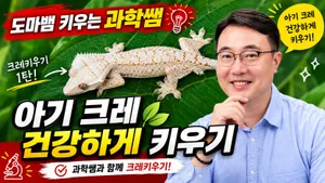 class-9239-thumbnail