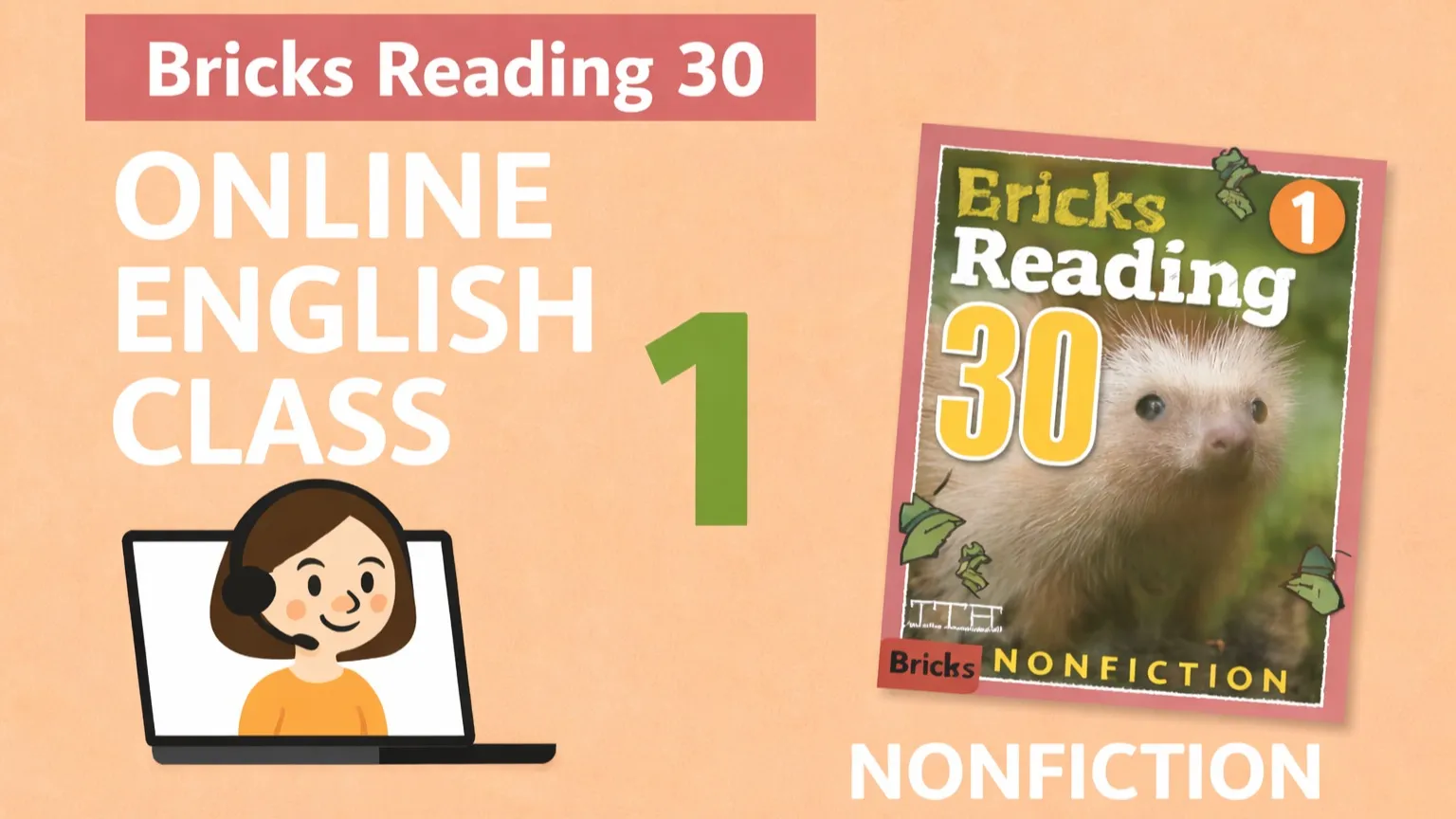 Bricks Reading 30 Nonfiction (1)