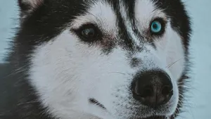 class-10425-thumbnail