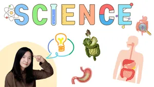 class-11414-thumbnail