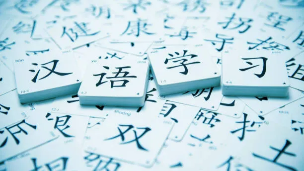 초등 고학년! 중국어의 조동사, 하루만에 마스터하기!!