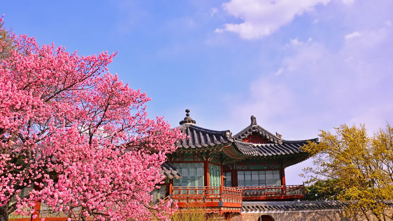 랜선 창덕궁 탐방: 봄꽃과 함께 떠나는 궁궐 여행!