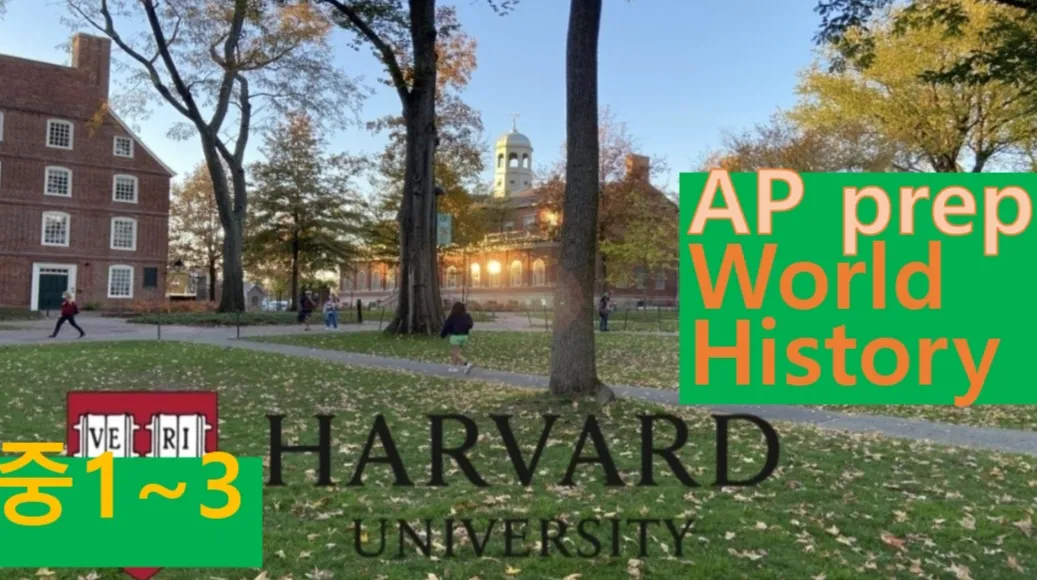 [AP prep World History중1~3] 대치동20년 경력쌤과 1:1 개념수업, AP WH 기초반
